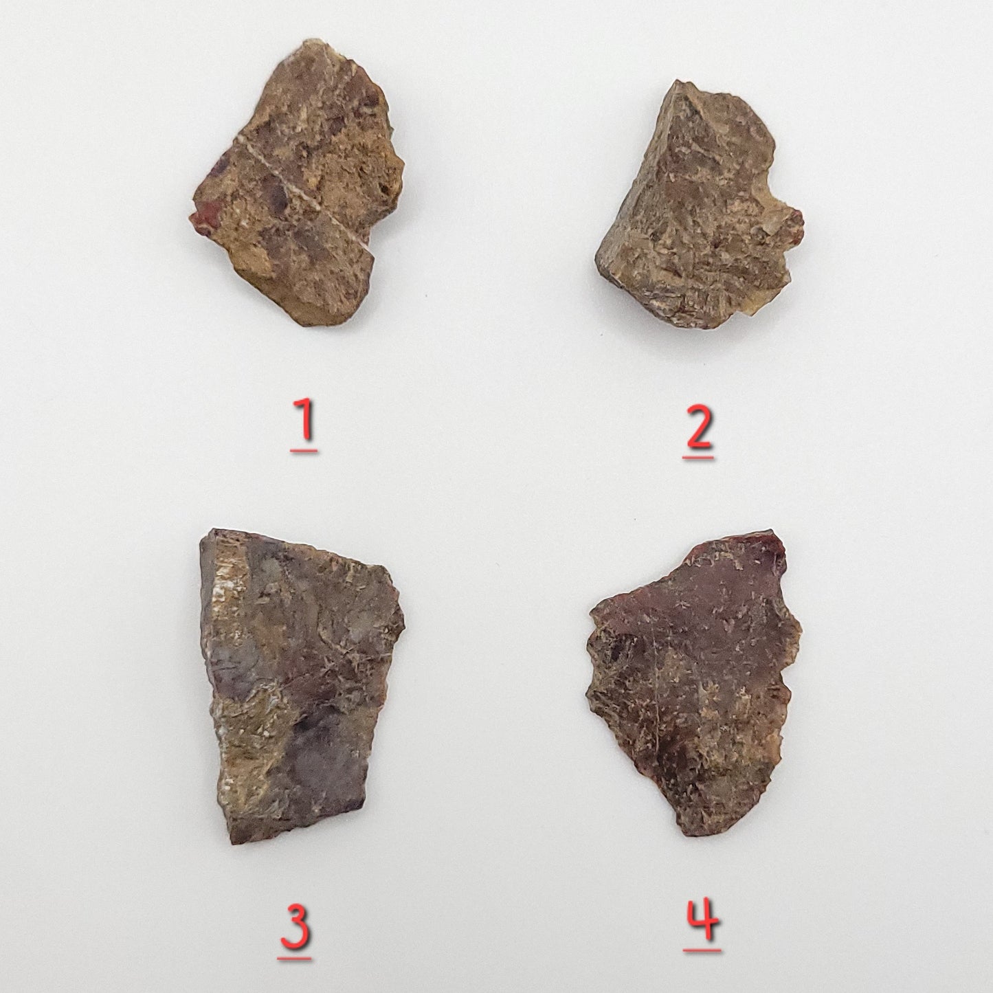 raw pietersite 4 stone choices shown on white background