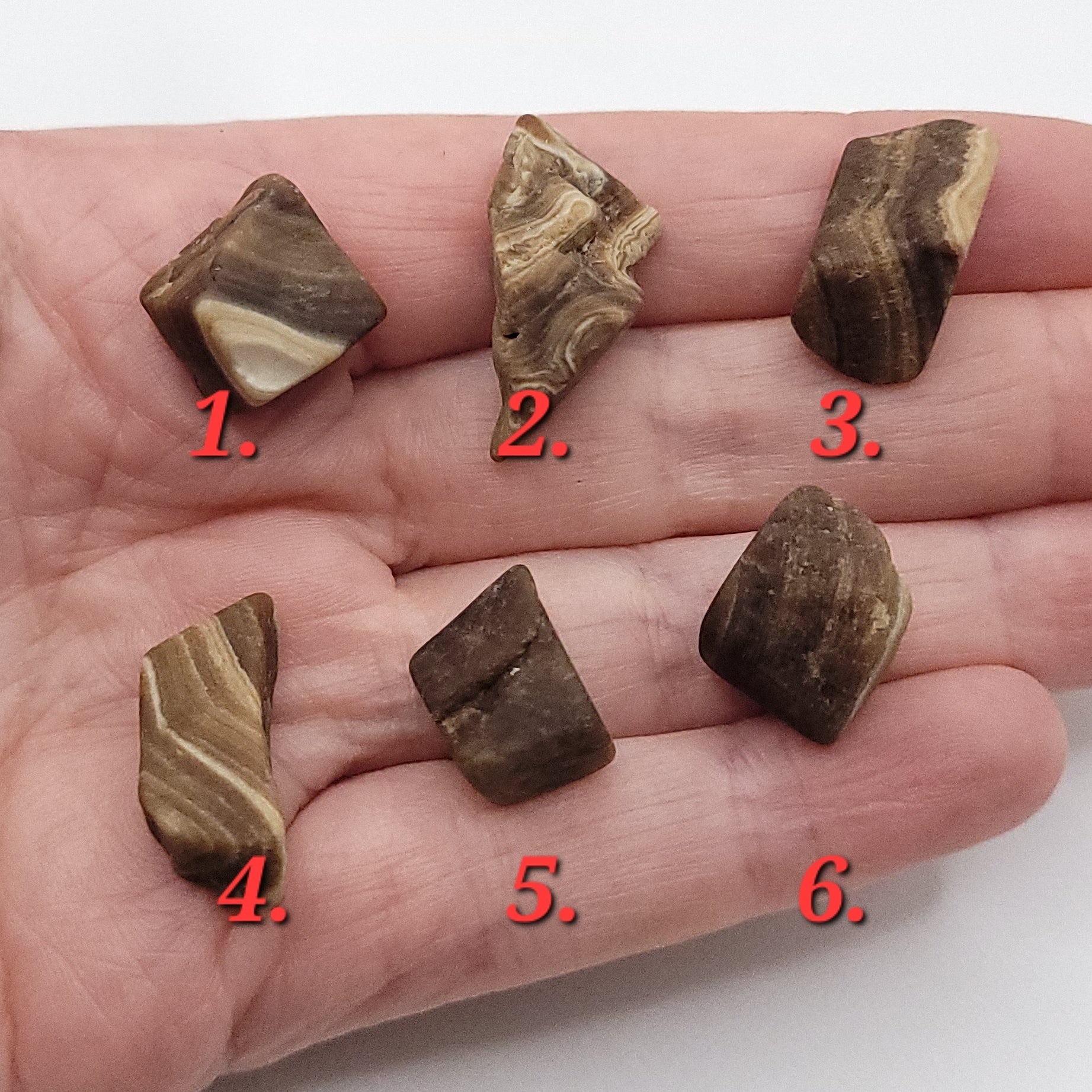 Hand showing six pieces of chocolate calcite, showcasing natural patterns and color variations in each stone.