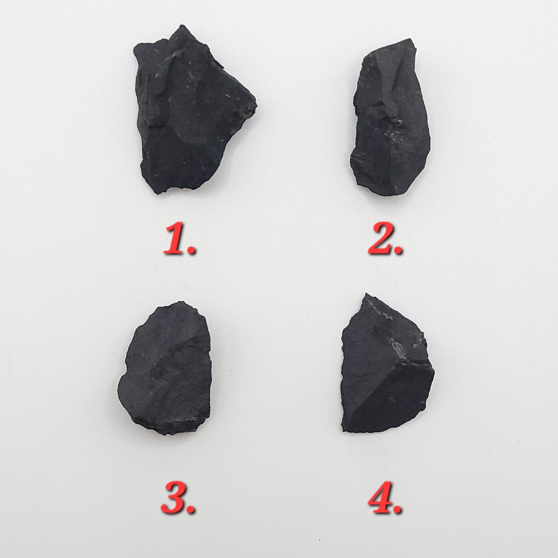 raw shungite necklace 4 stone choices
