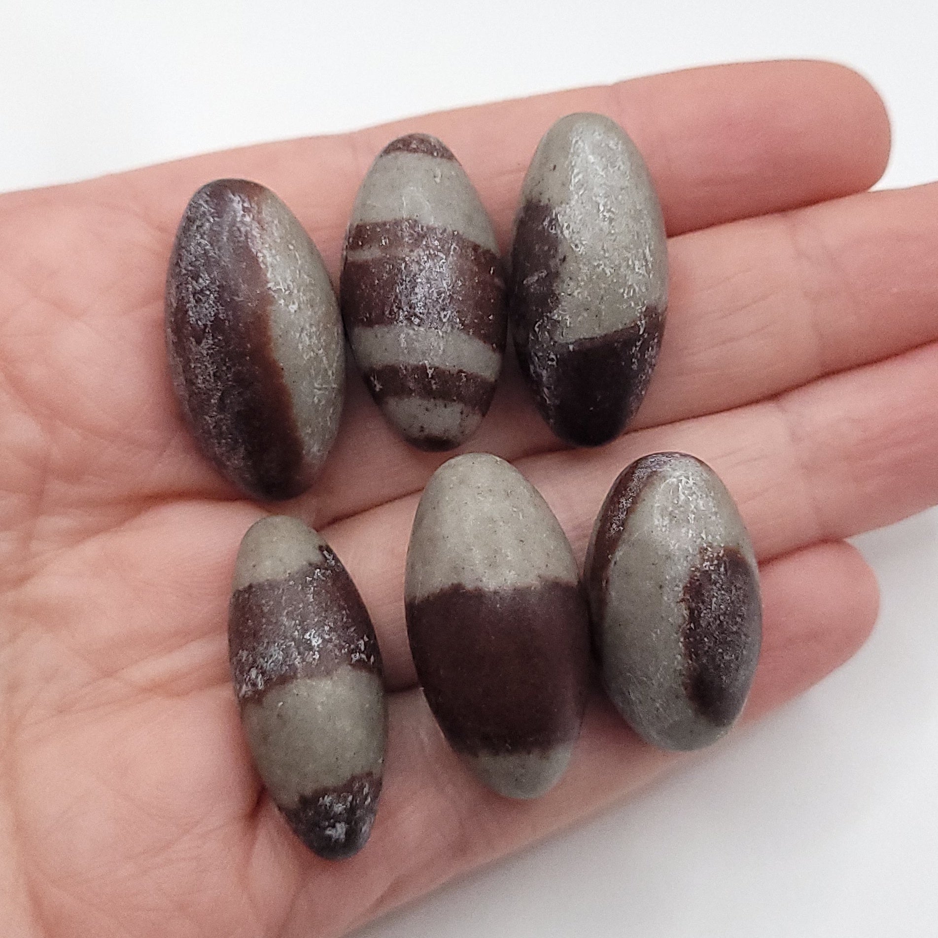 six shiva lingam stones in hand