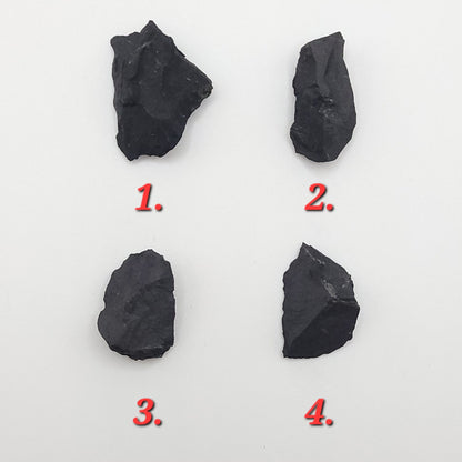 raw shungite necklace 4 stone choices